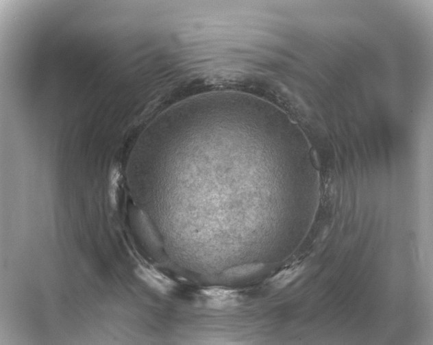 X0000068821012200605081140