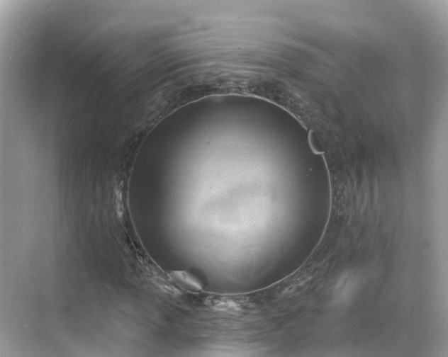 X0000068821013200605081140