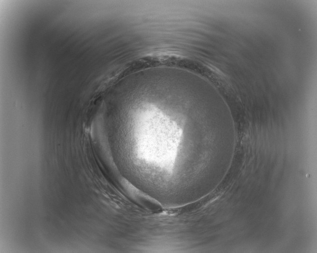 X0000068821014200605081140