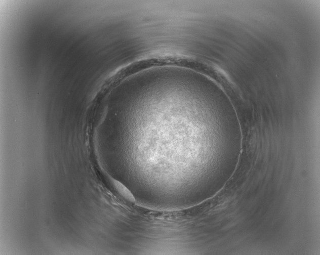 X0000068821016200605081140