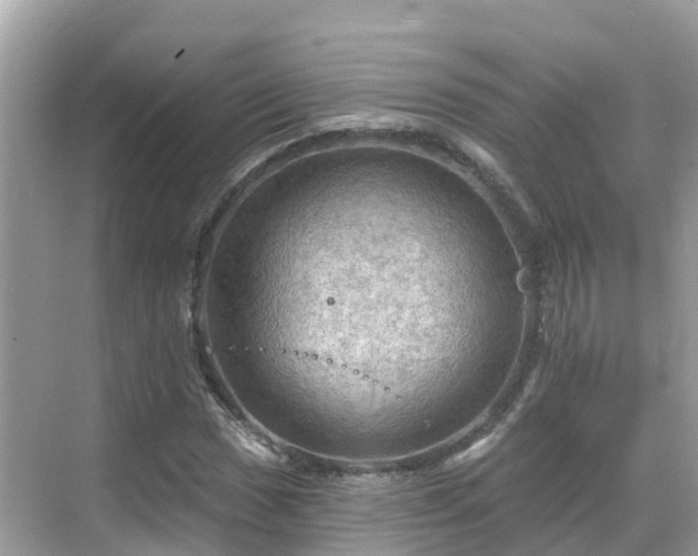 X0000068821017200605081140