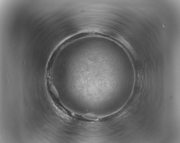 X0000068821020200605081140