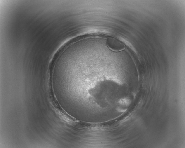 X0000068821021200605081140