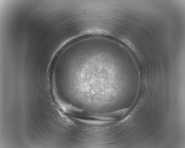 X0000068821022200605081140