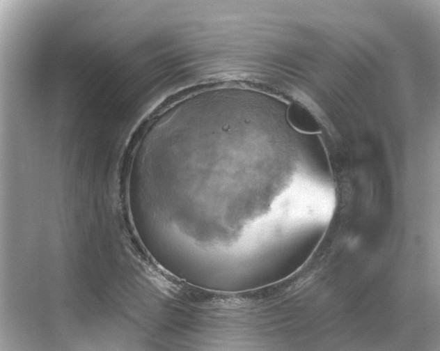 X0000068821023200605081140