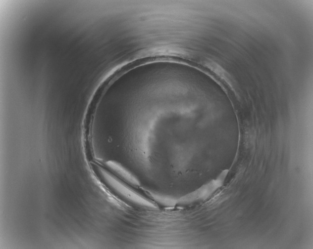 X0000068821024200605081140