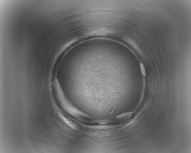 X0000068821026200605081140