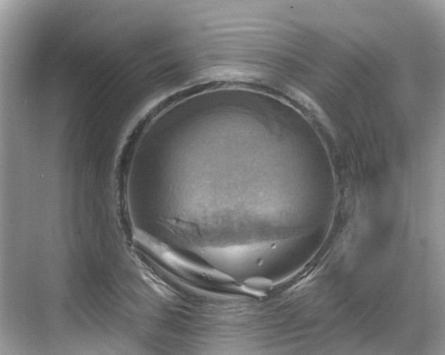 X0000068821027200605081140