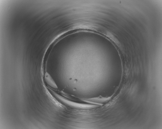 X0000068821028200605081140