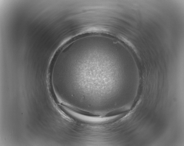 X0000068821029200605081140