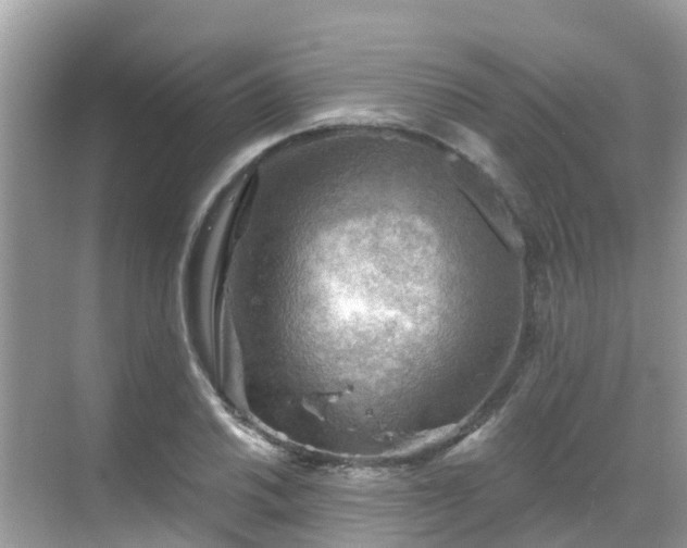 X0000068821030200605081140