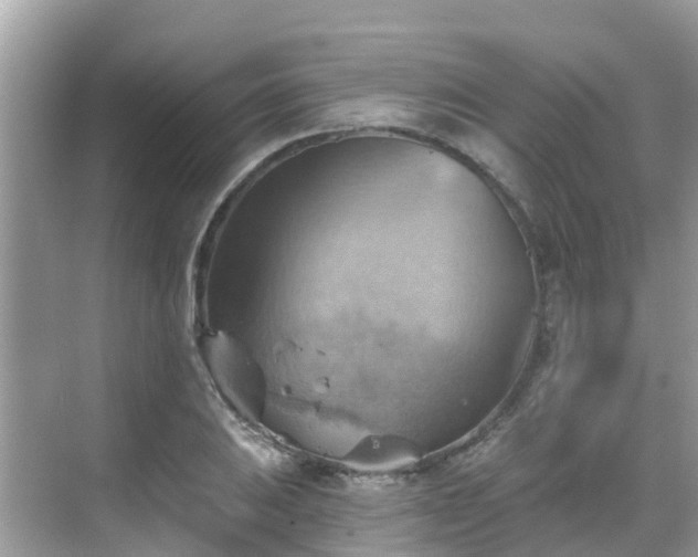 X0000068821031200605081140