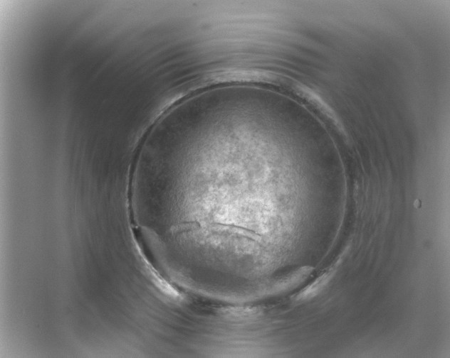 X0000068821033200605081140