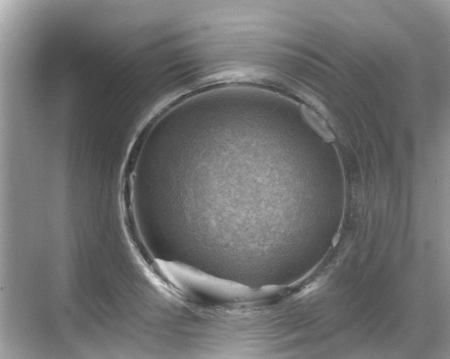 X0000068821034200605081140