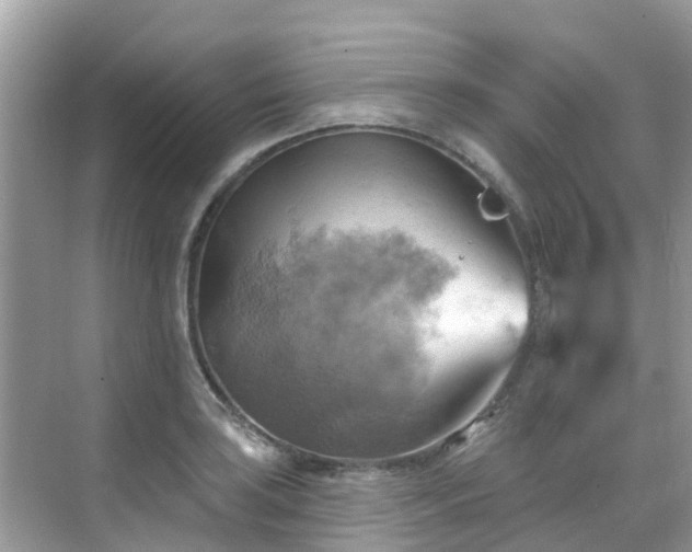 X0000068821035200605081140