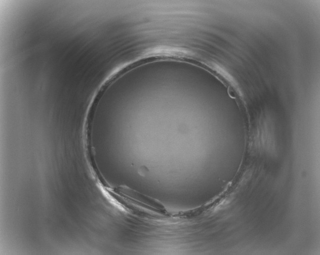 X0000068821037200605081140