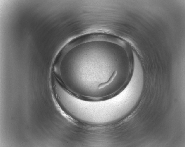 X0000068821038200605081140