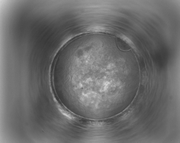 X0000068821039200605081140