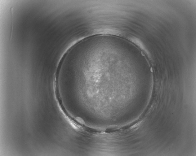 X0000068821040200605081140