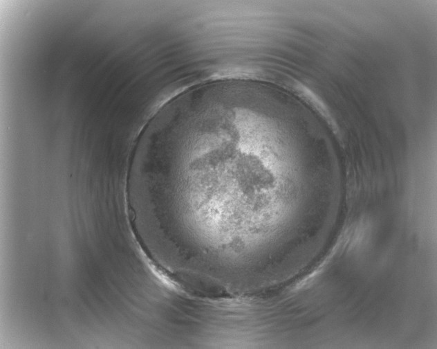 X0000068821041200605081140