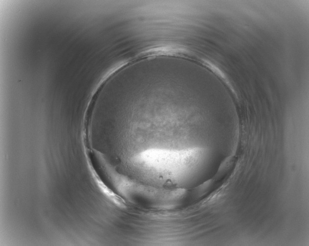 X0000068821042200605081140