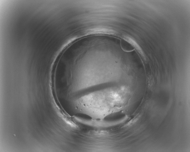 X0000068821043200605081140