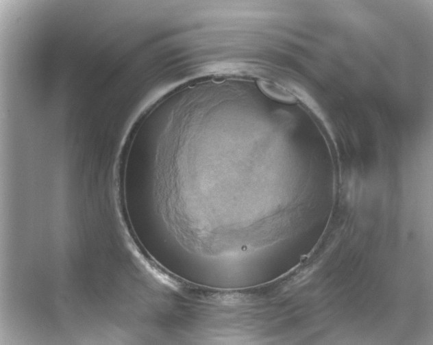 X0000068821045200605081140