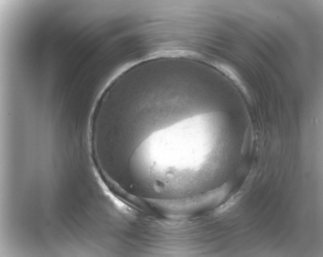 X0000068821046200605081140