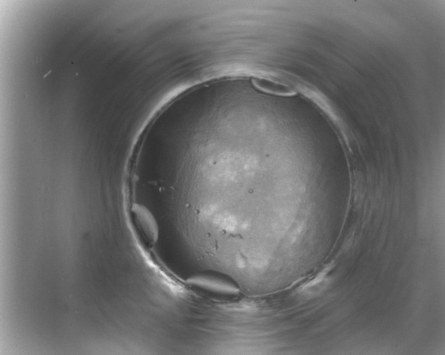 X0000068821048200605081140