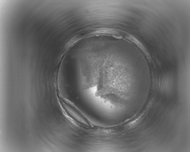 X0000068821049200605081140