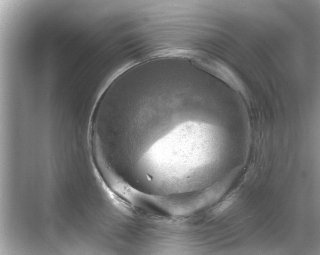 X0000068821050200605081140