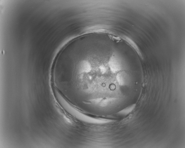 X0000068821051200605081140