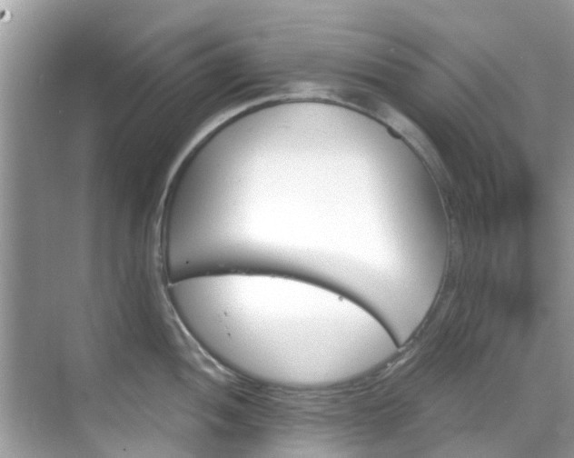 X0000068821052200605081140