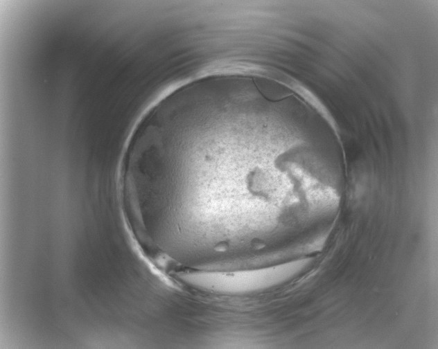 X0000068821053200605081140