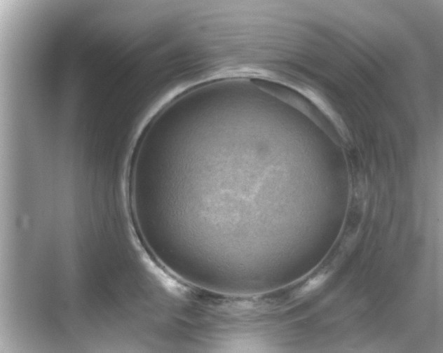 X0000068821054200605081140