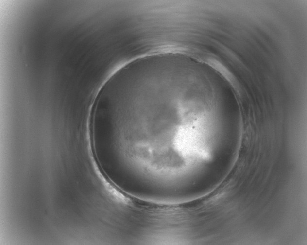 X0000068821055200605081140