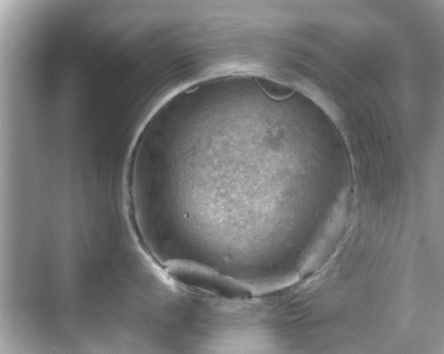 X0000068821056200605081140