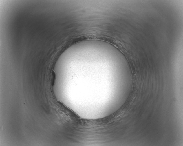 X0000068821057200605081139