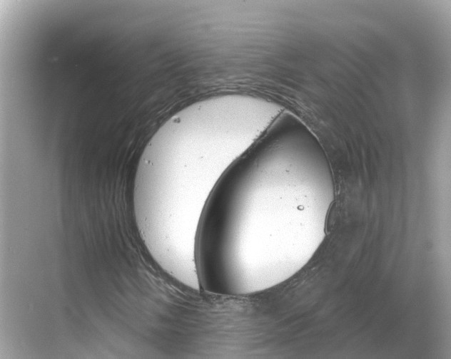 X0000068821058200605081139