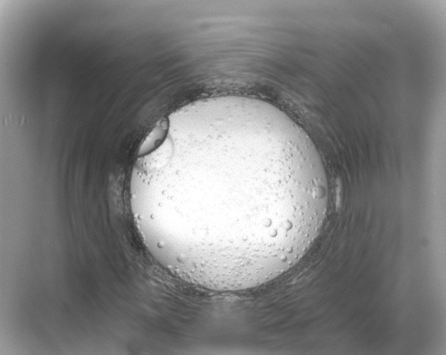 X0000068821059200605081139