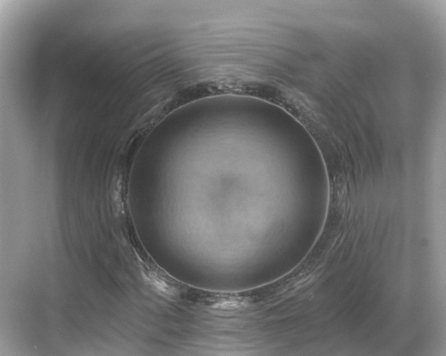 X0000068821060200605081139