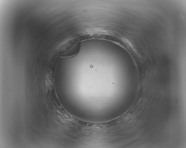 X0000068821063200605081139