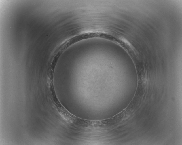 X0000068821064200605081139