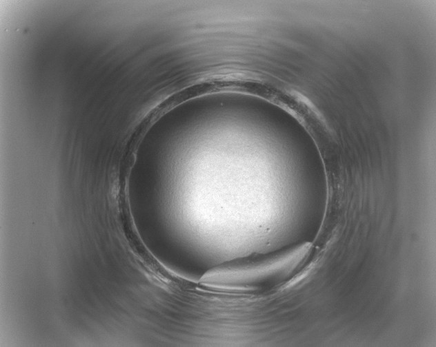 X0000068821065200605081139