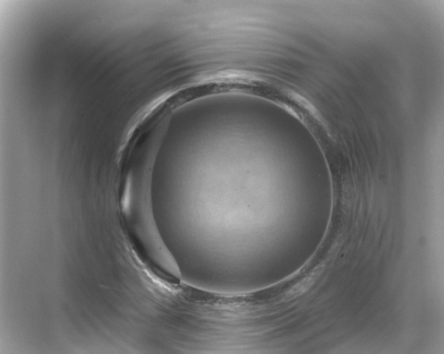 X0000068821066200605081139