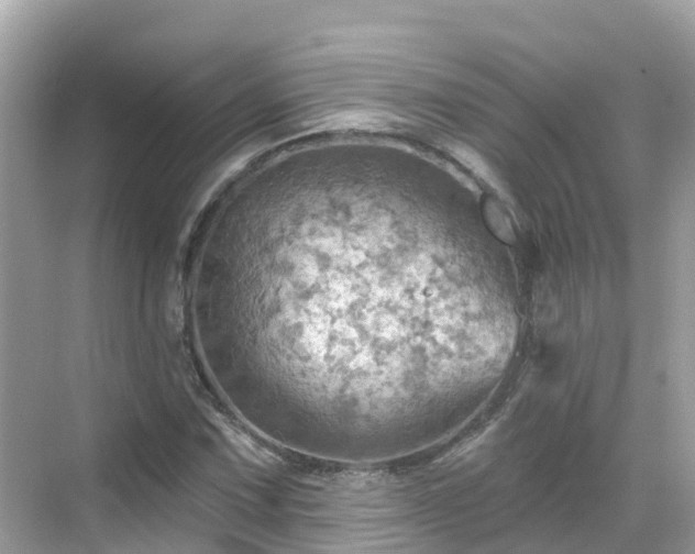 X0000068821067200605081139