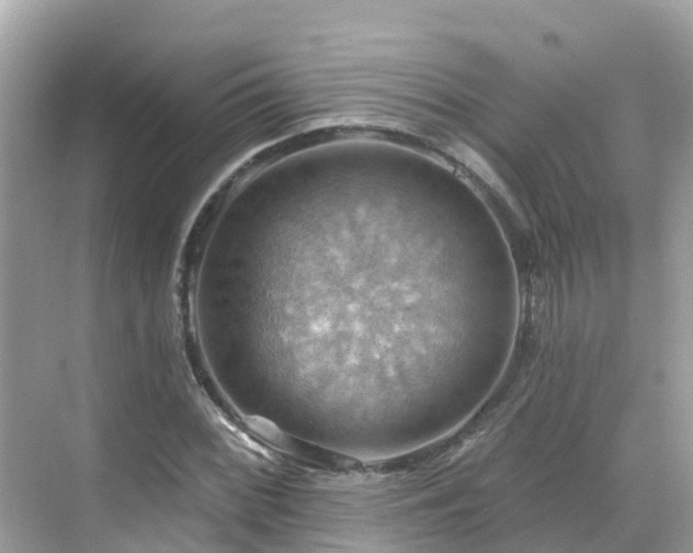 X0000068821068200605081139