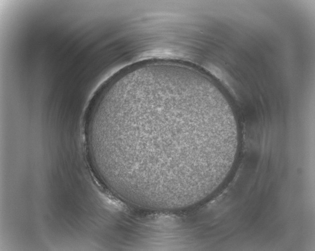 X0000068821070200605081139