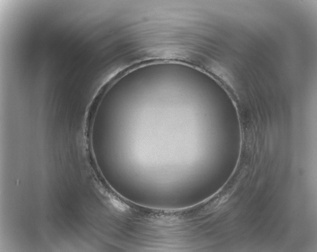 X0000068821071200605081139