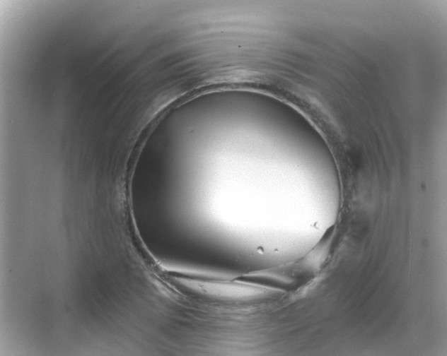 X0000068821073200605081139